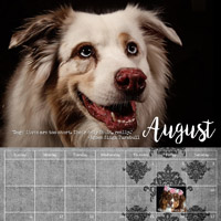 ASSARO 2024 Calendar